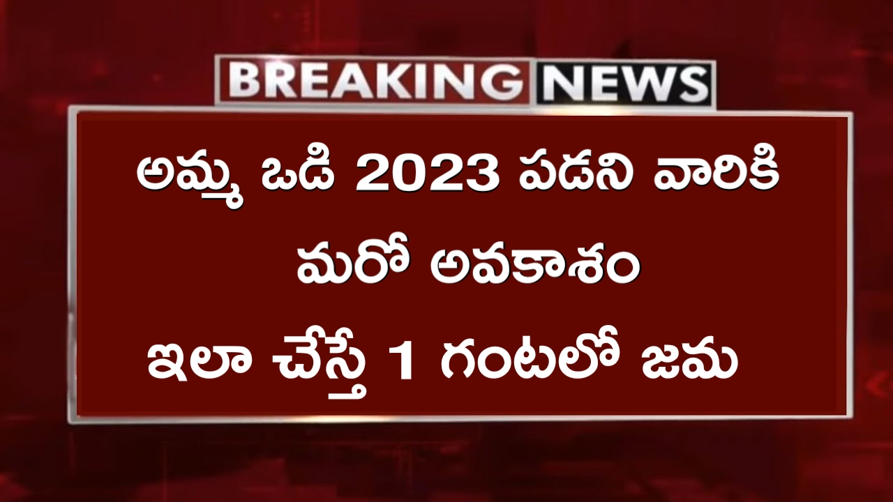 Jagananna Ammavodi 2023