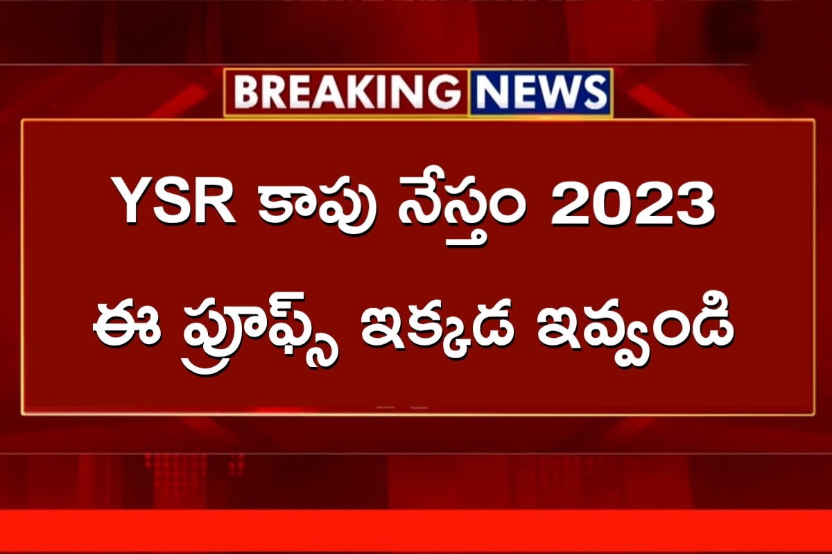 YSR Kapu Nestham 2023