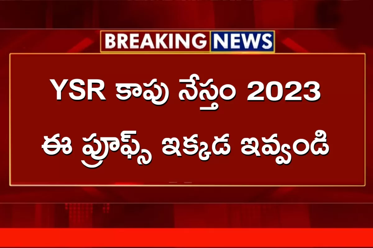 YSR Kapu Nestham 2023